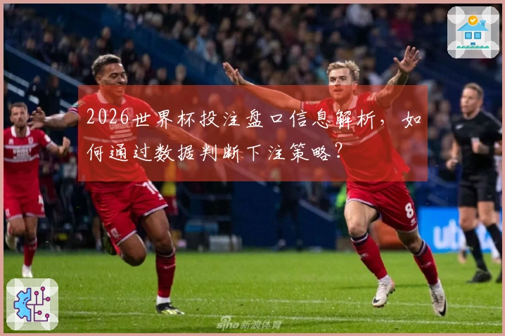 2026世界杯投注盘口信息解析，如何通过数据判断下注策略？