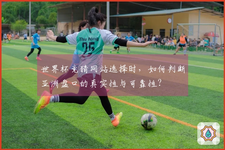 世界杯竞猜网站选择时，如何判断亚洲盘口的真实性与可靠性？