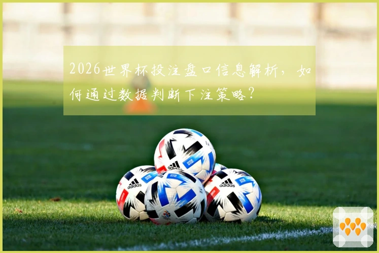 2026世界杯投注盘口信息解析，如何通过数据判断下注策略？